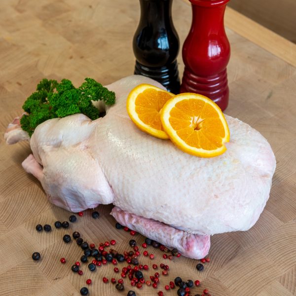 Gressingham Duck