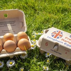 Hingham Eggs