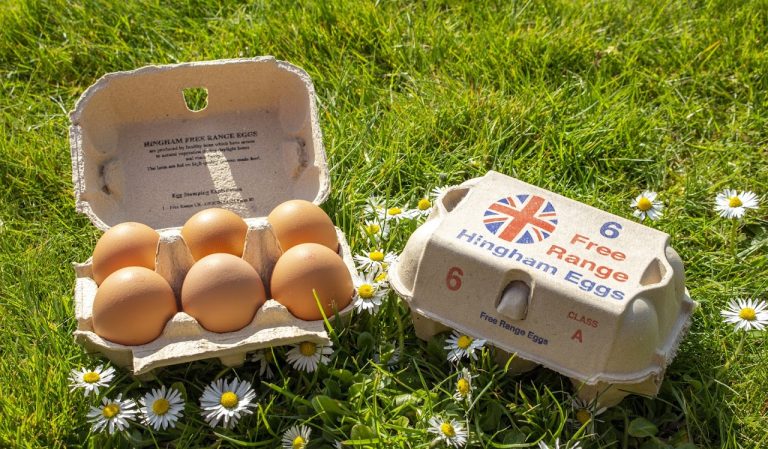 Hingham Eggs